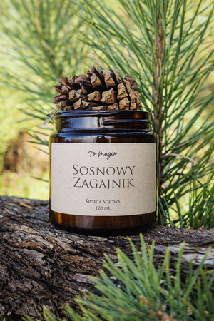 SOSNOWY ZAGAJNIK świeca sojowa zapachowa 120 ml